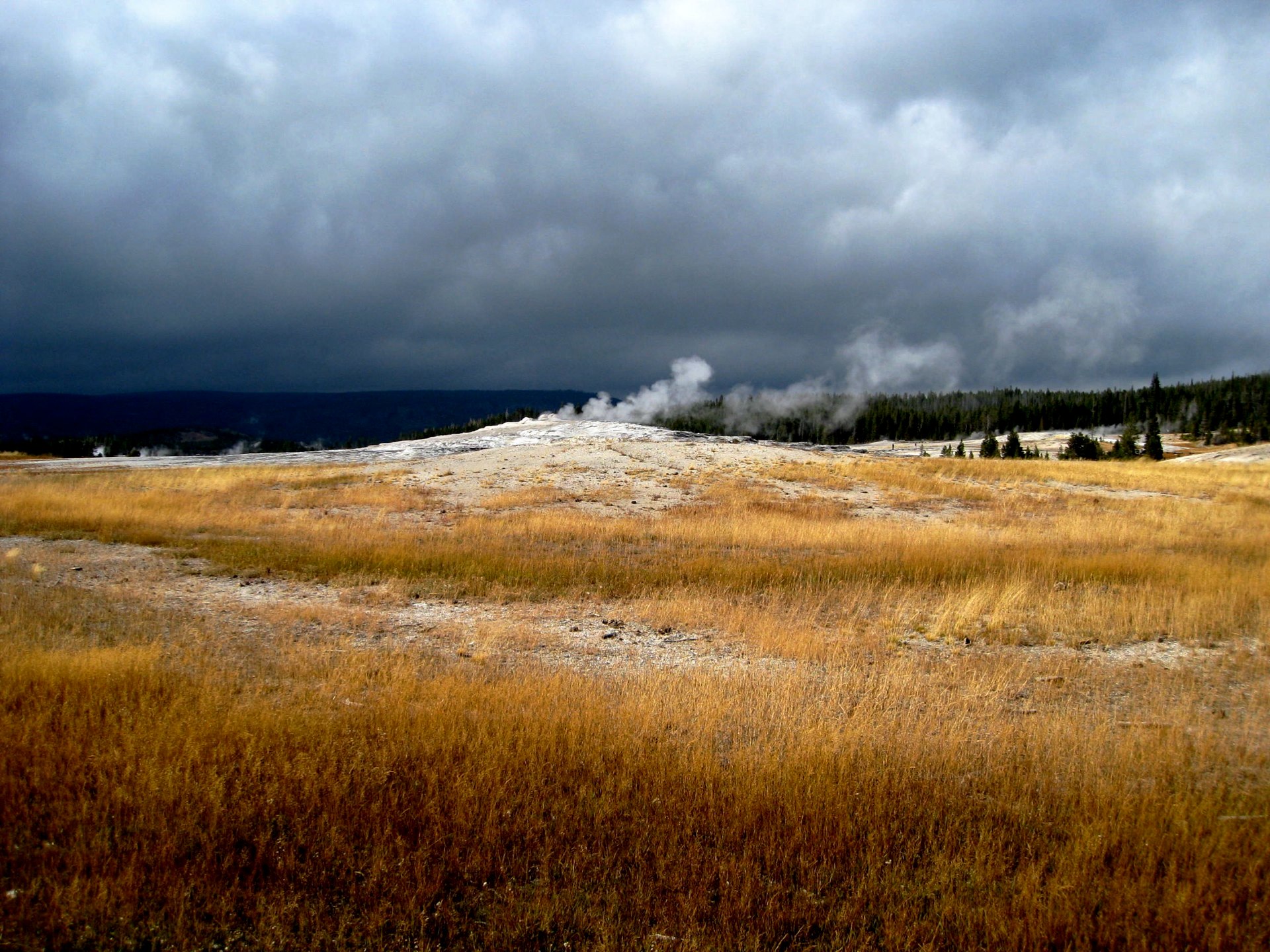 Old Faithful, a geyser that erupts every 1.5 hours!!