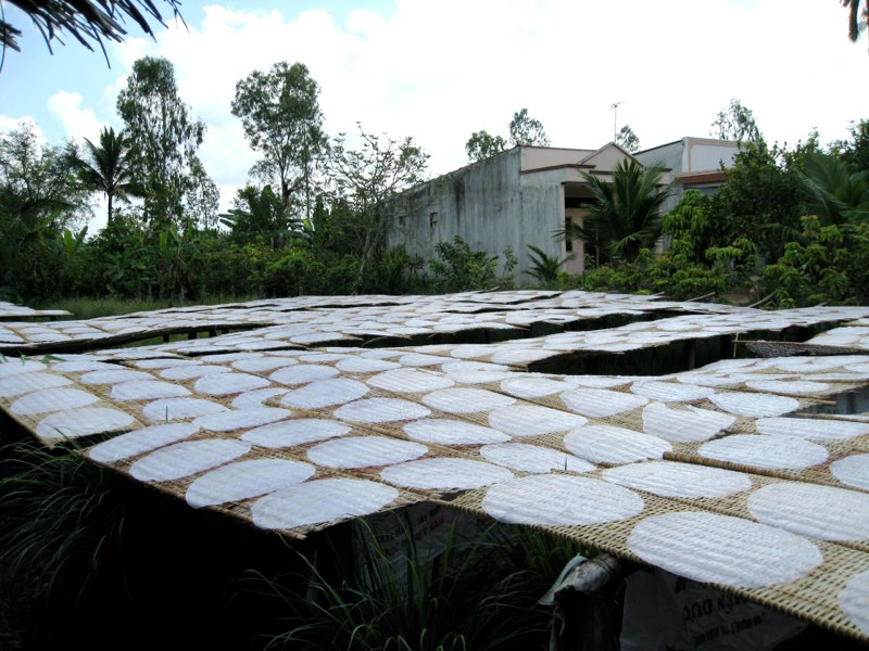 Drying the rice cakes