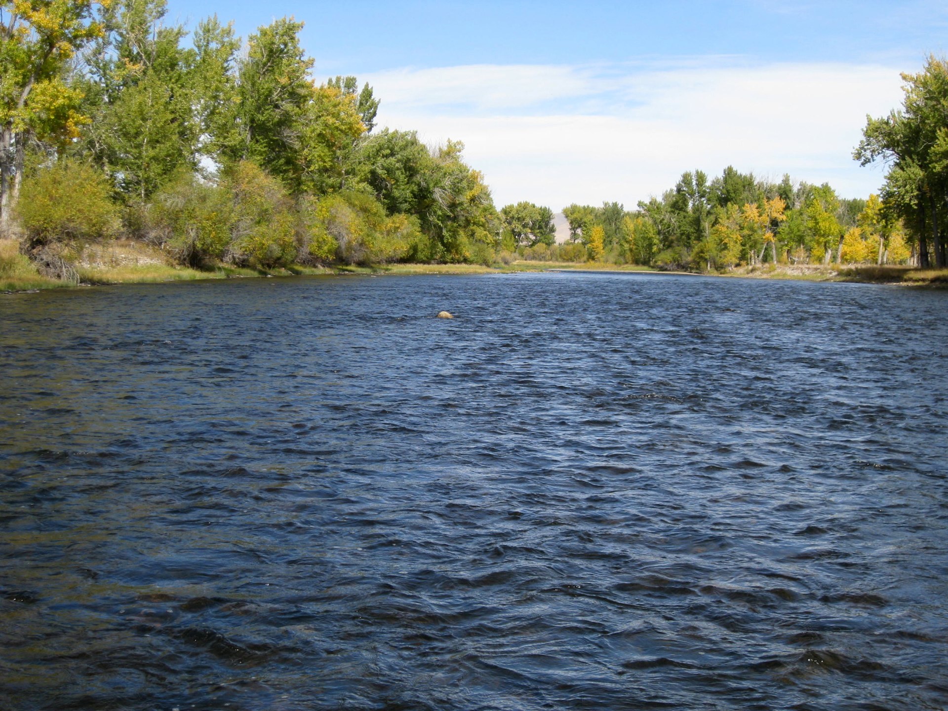 Montana photo 106