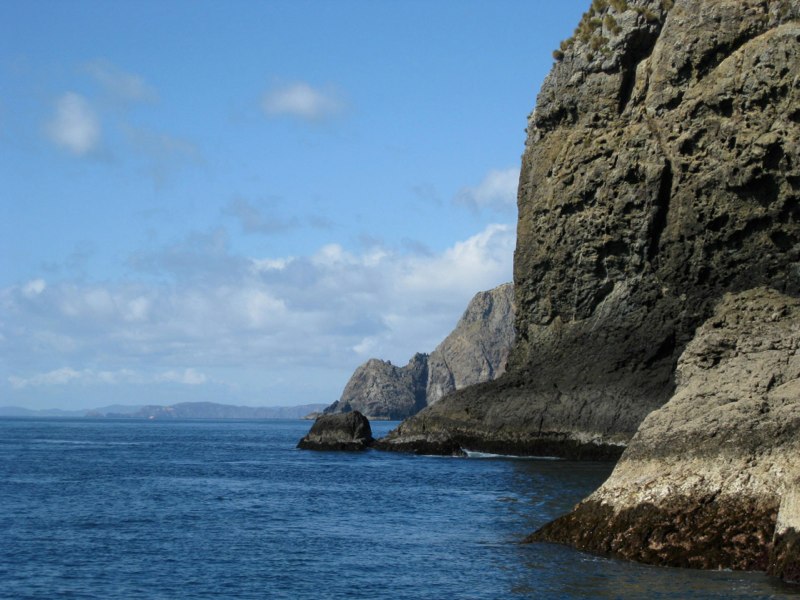 New Zealand-North Island photo 35