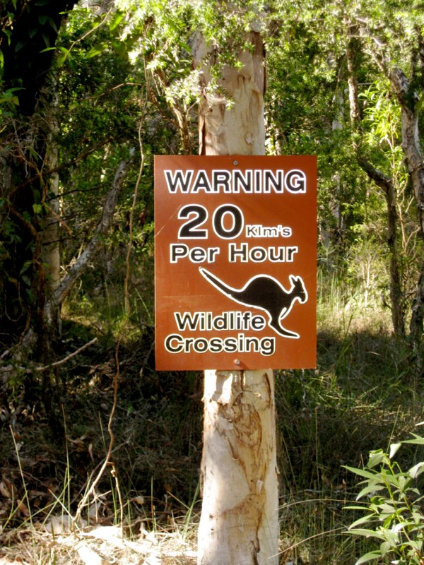 Warning !