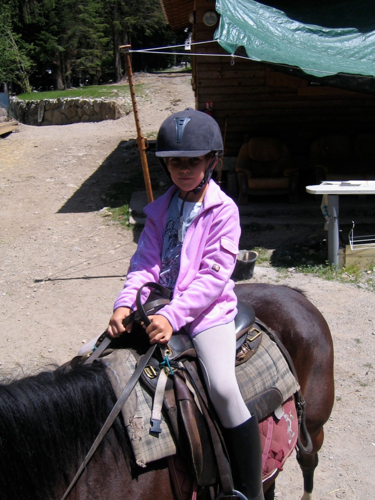 Horse back riding trip July 24 photo 5