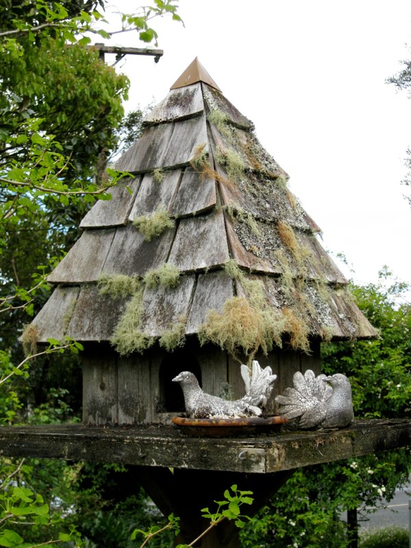 Bird house