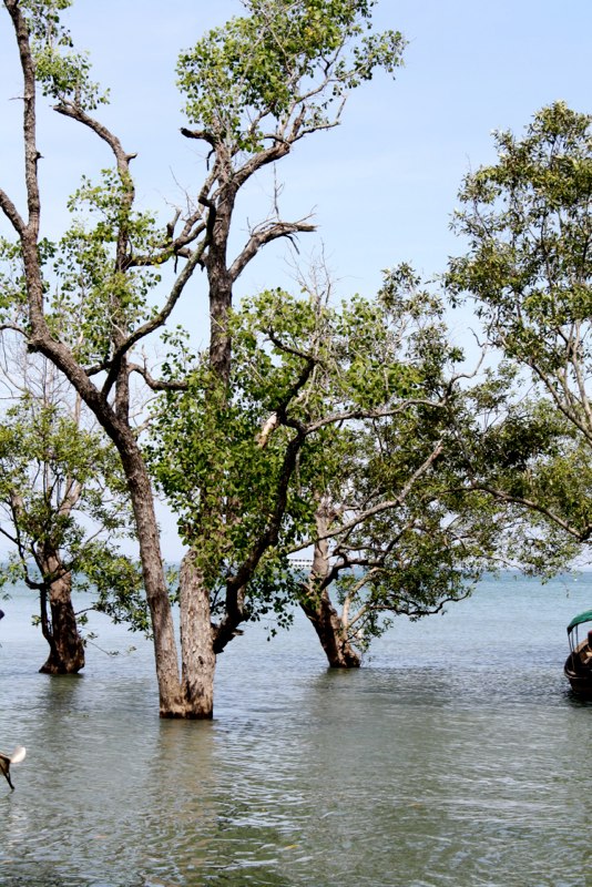 Koh Lanta photo 21
