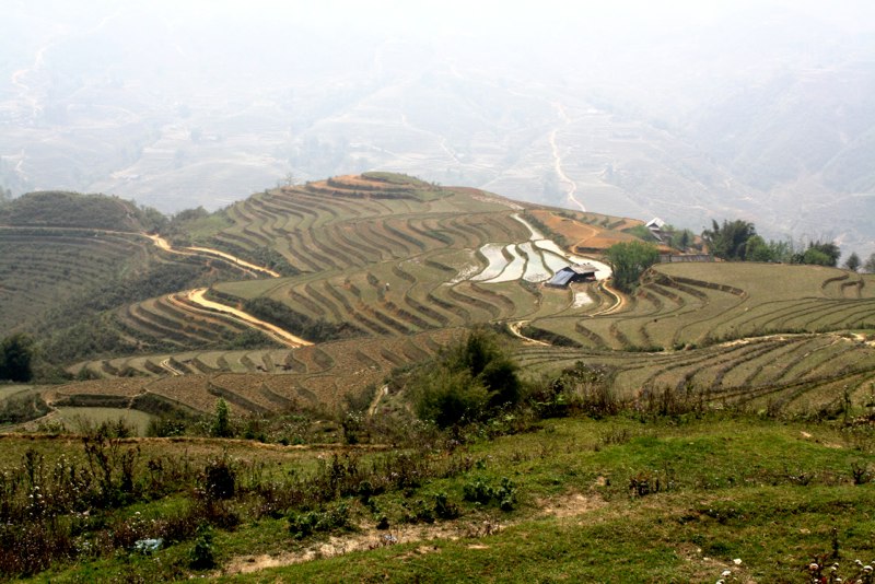 Sapa photo 26