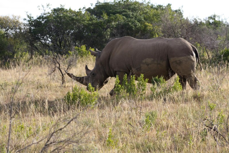 Eastern Cape photo 70