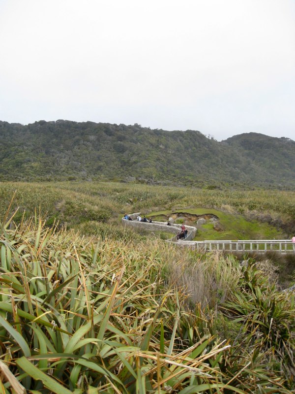 NZ Glacier Album photo 6