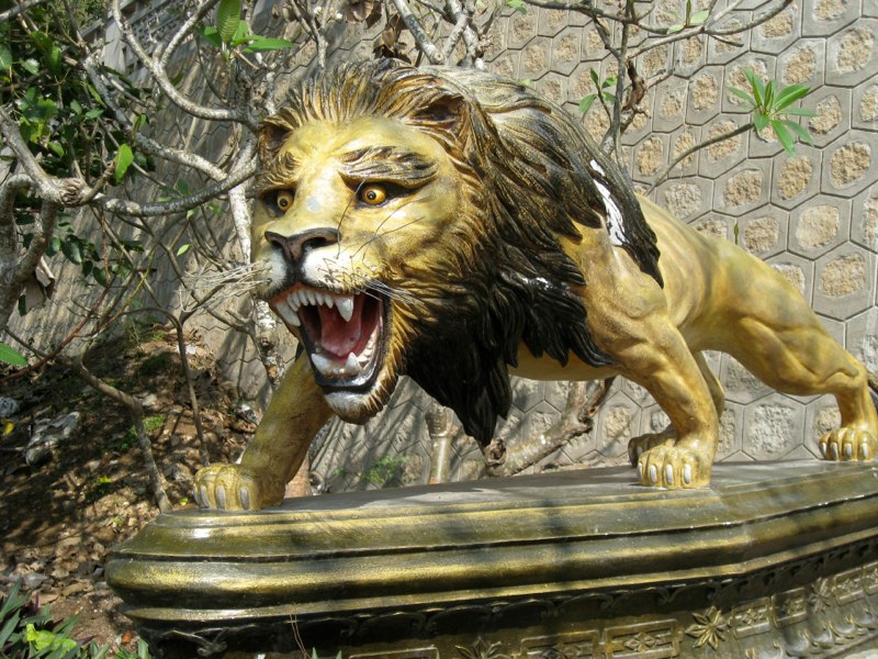 Guard