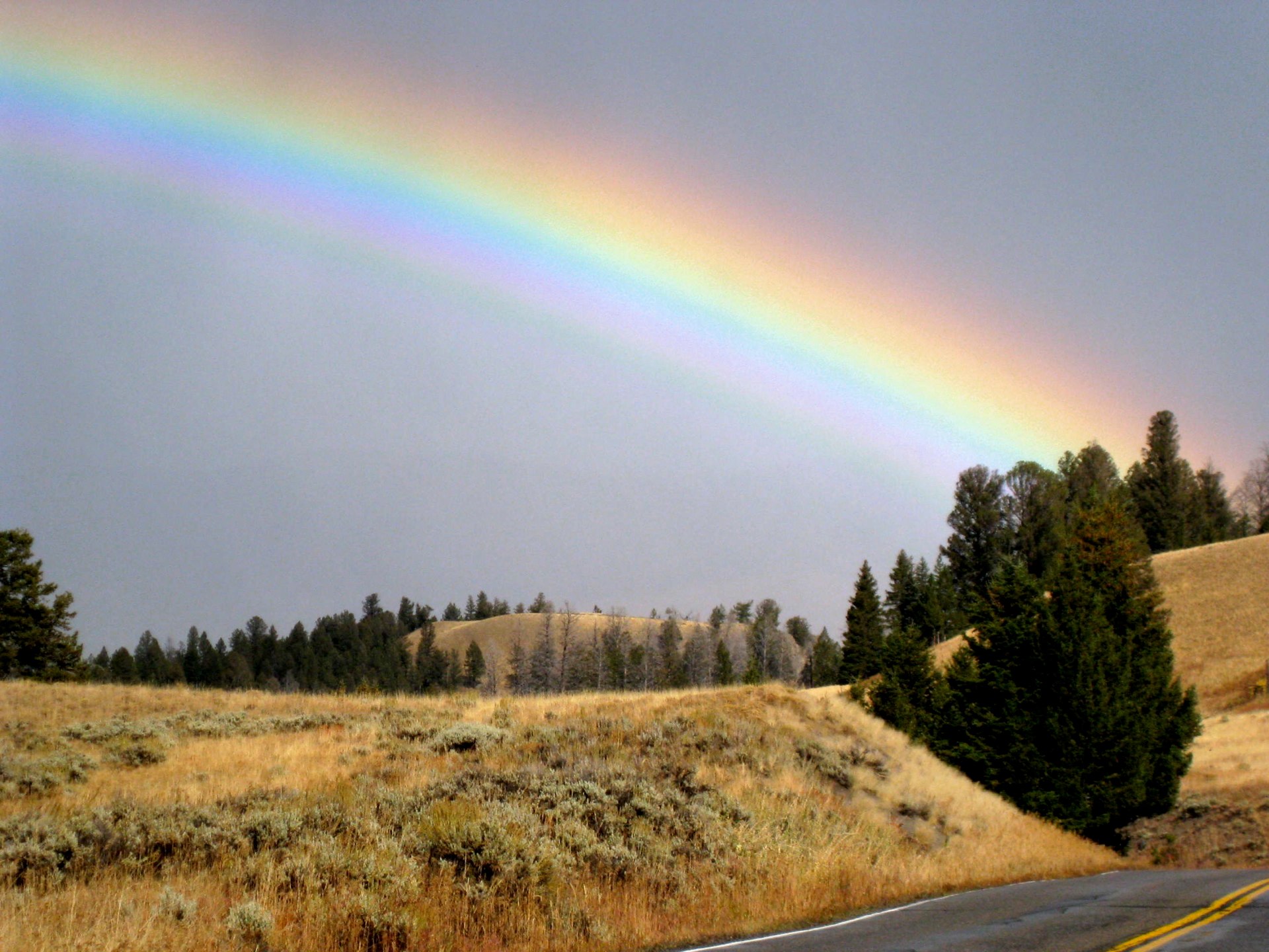 Montana photo 20