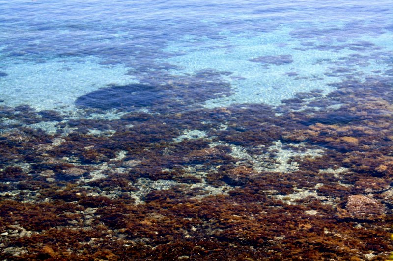 the water is so clear