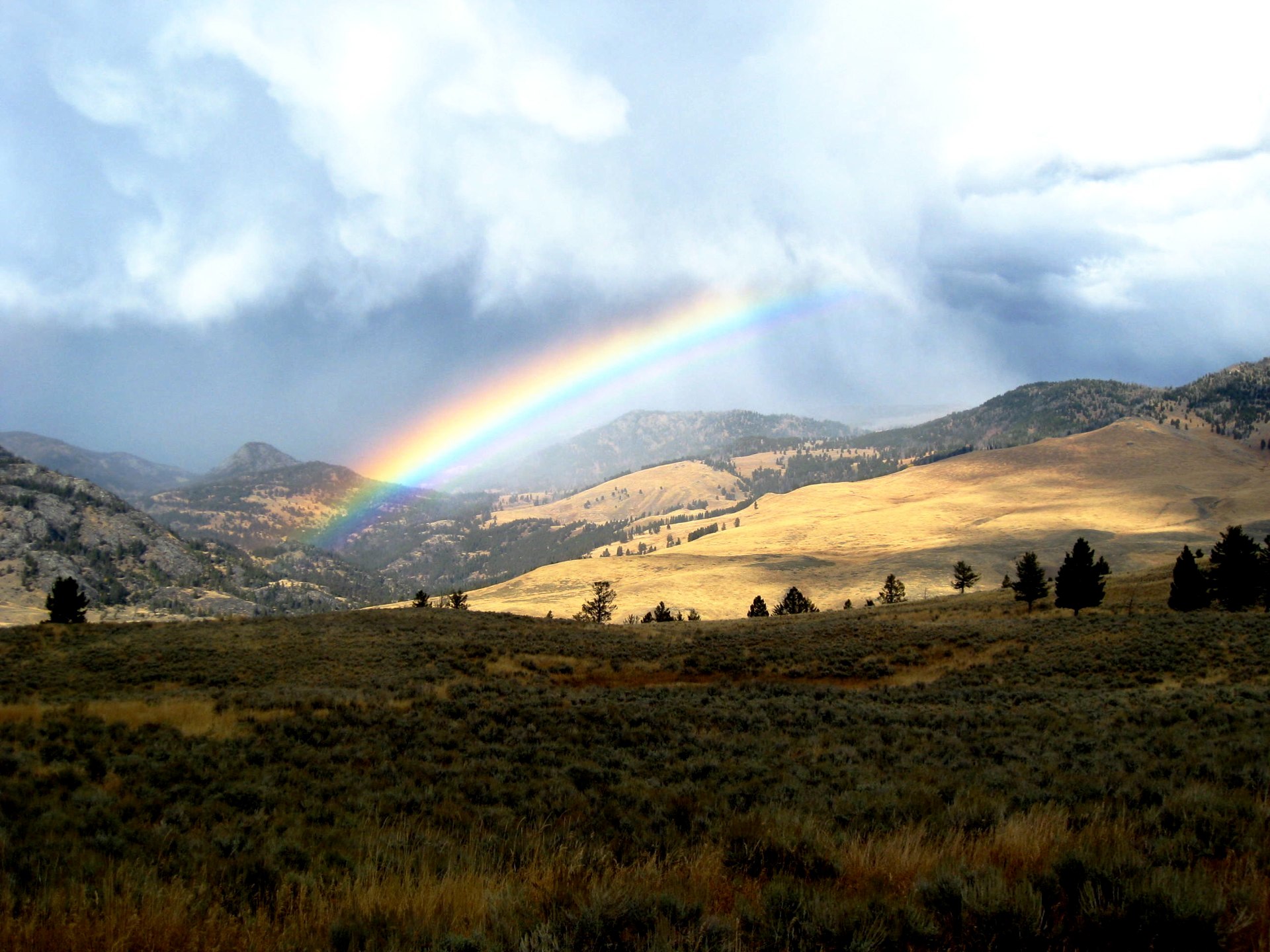 Montana