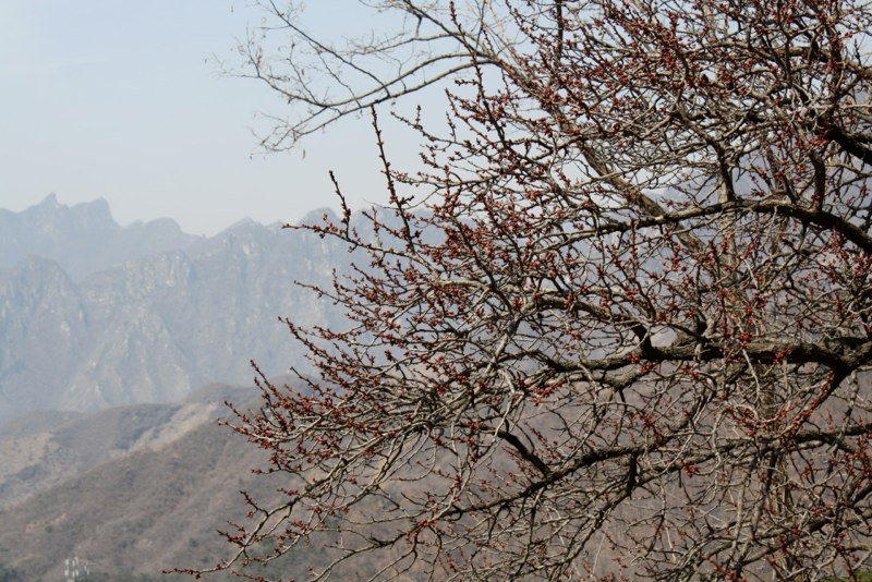 Beijing, China photo 75
