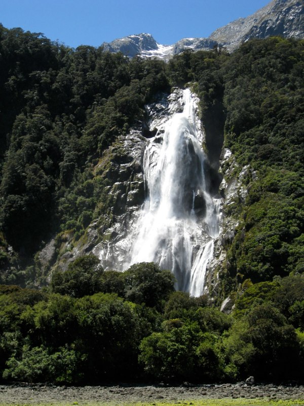 NZ Queenstown &Milford sounds photo 61