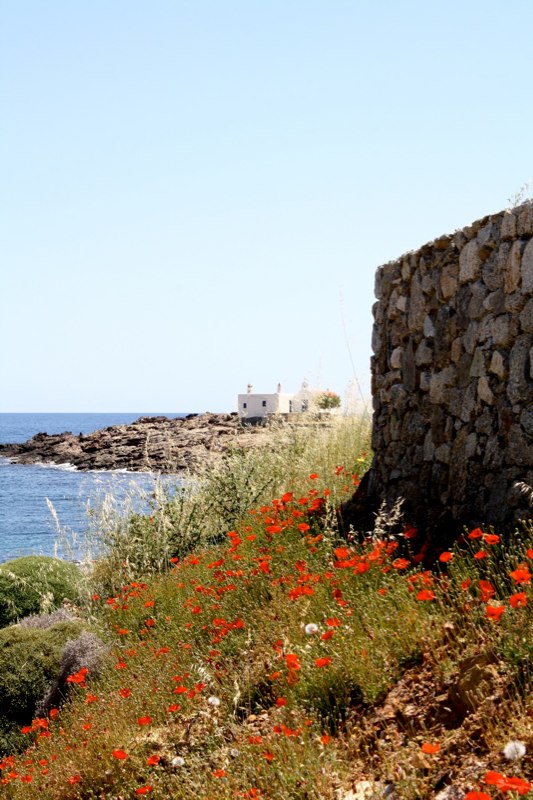 Mykonos photo 54