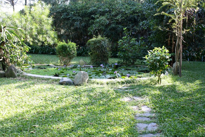 Vietnam photo 88