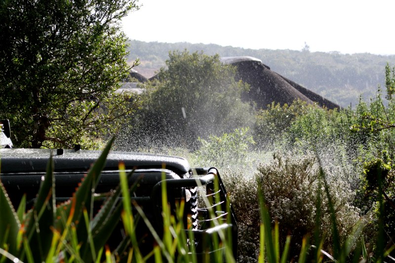 Eastern Cape photo 44