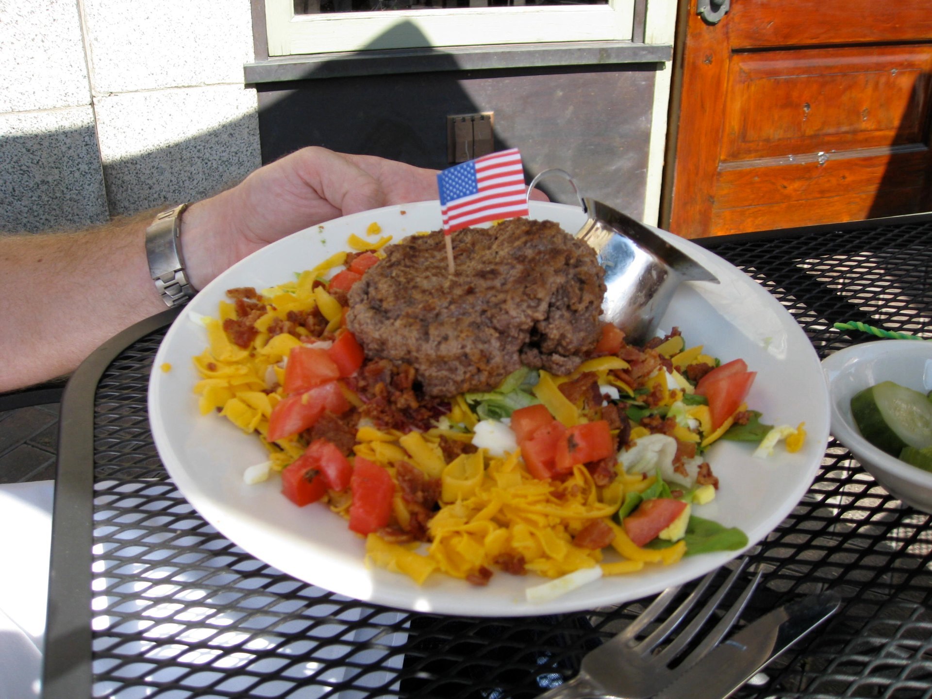 Bison burger!
