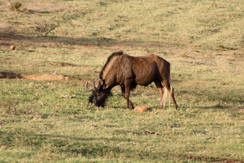 Eastern Cape photo 29