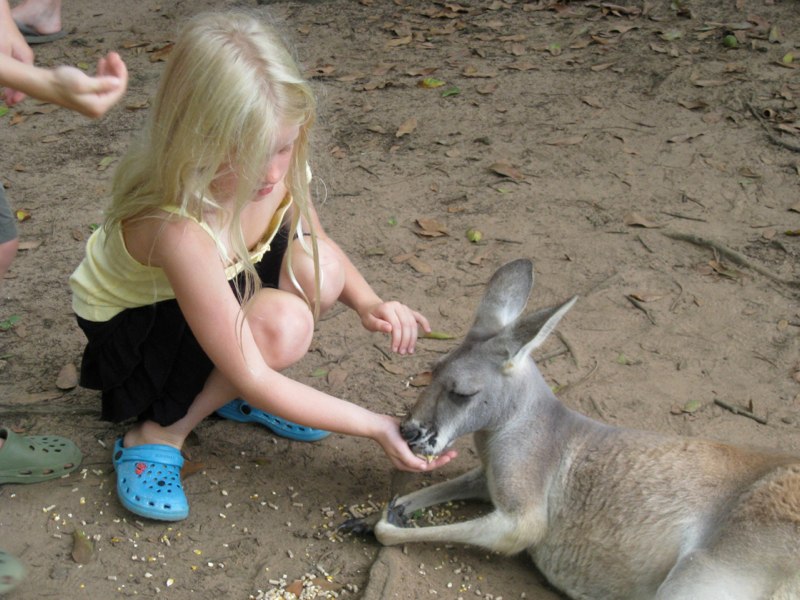 AUS-Sunshine Coast photo 22