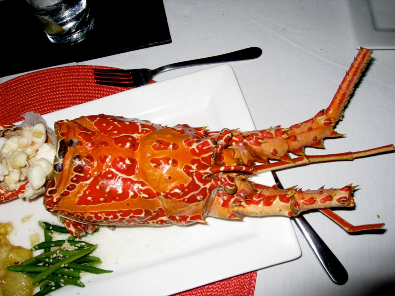 Big lobster!