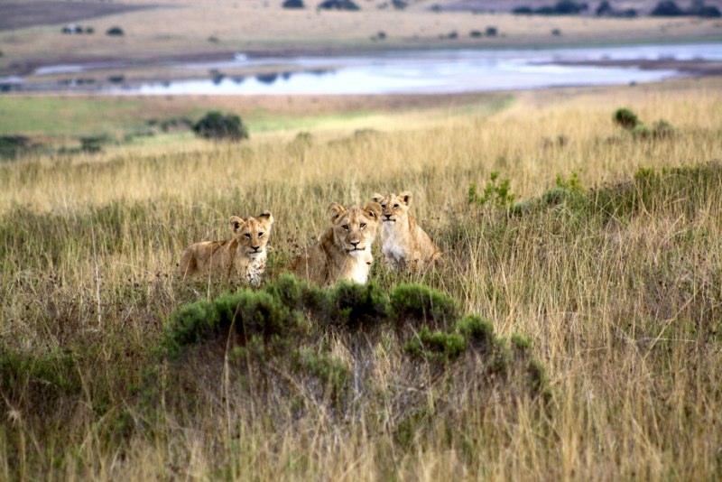 Eastern Cape photo 90