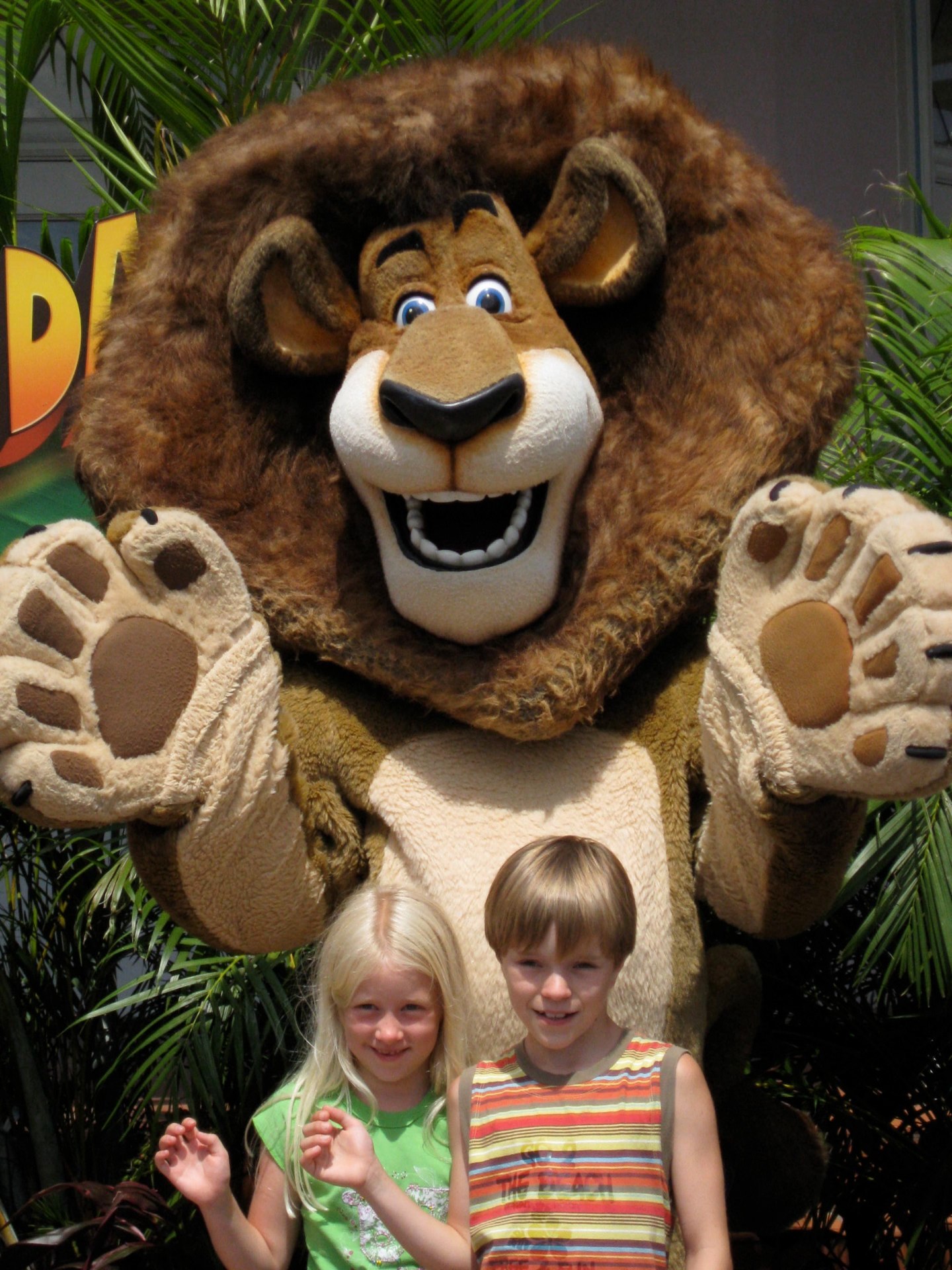 Orlando photo 129