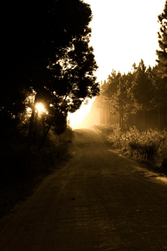 Good morning..