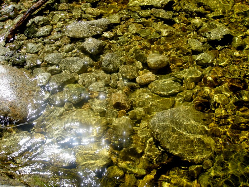 sun in water
