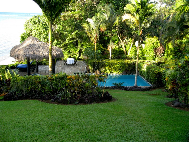 The garden