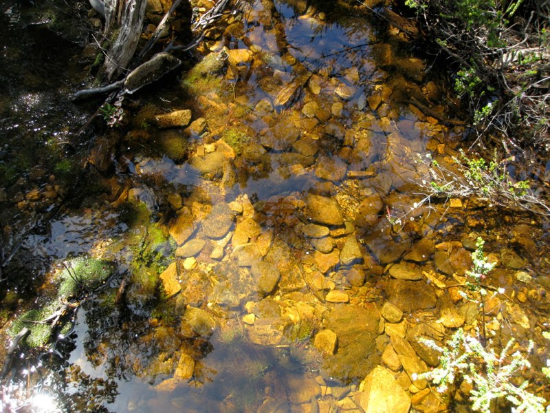 AUS-Tasmania photo 53