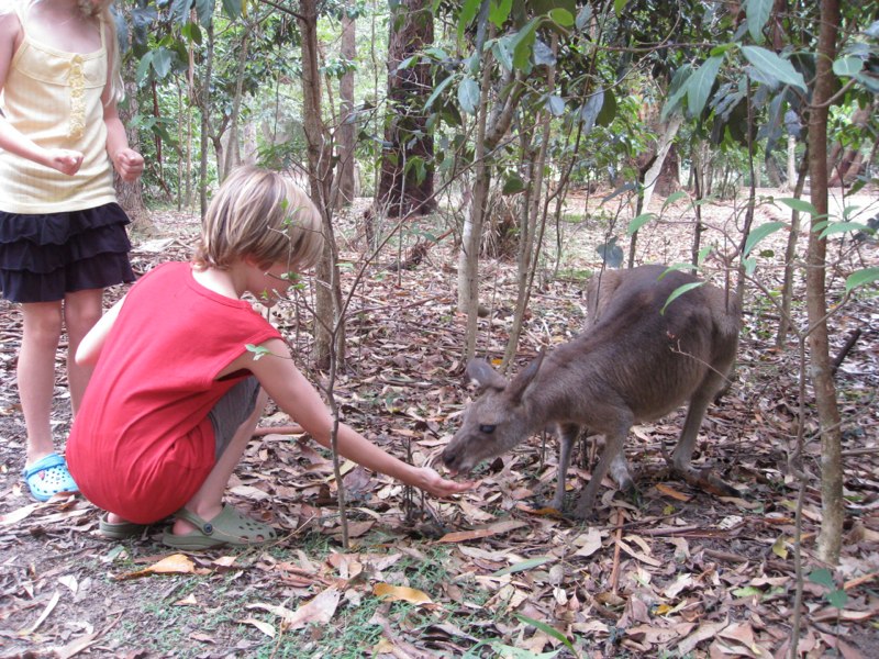 AUS-Sunshine Coast photo 15