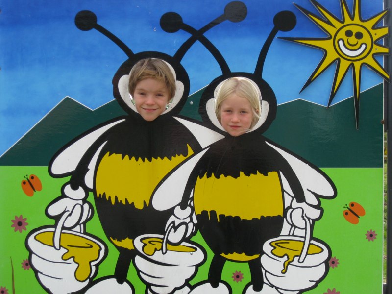 The bee keepers