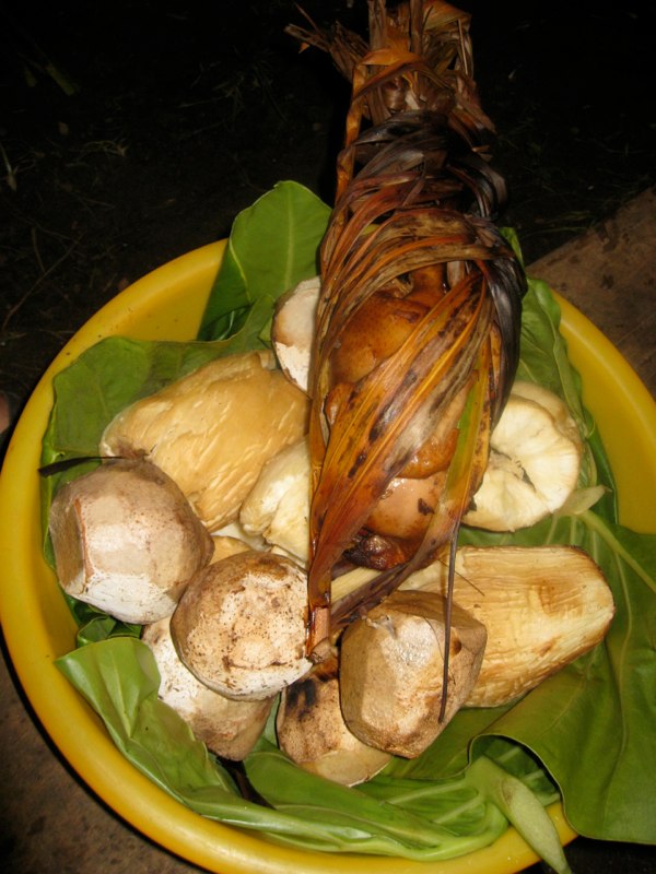 Fiji, Taveuni photo 83