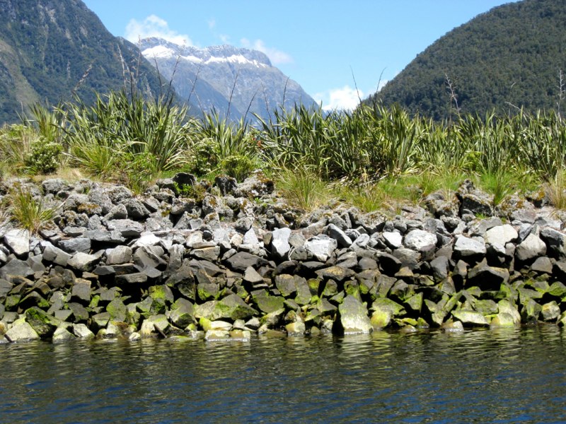 NZ Queenstown &Milford sounds photo 64