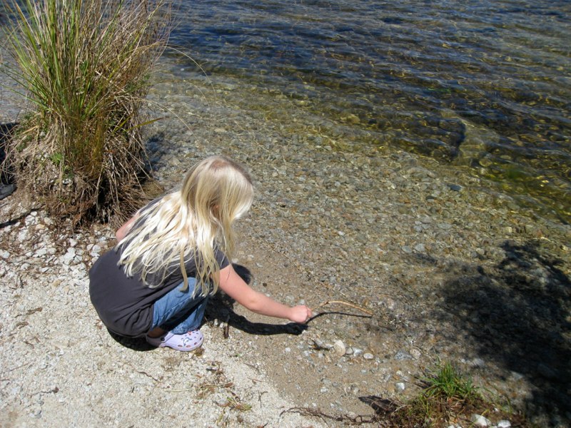NZ Glacier Album photo 22