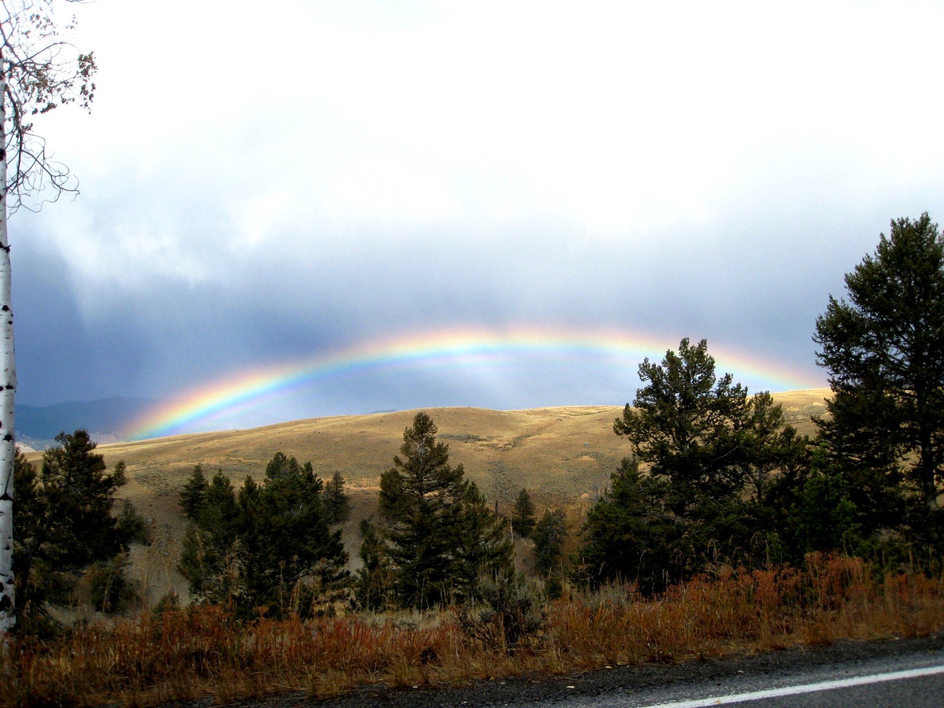 Montana photo 19