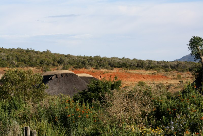 Eastern Cape photo 47