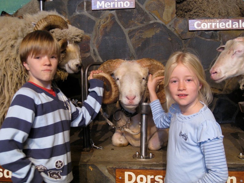 NZ Rotorura photo 31