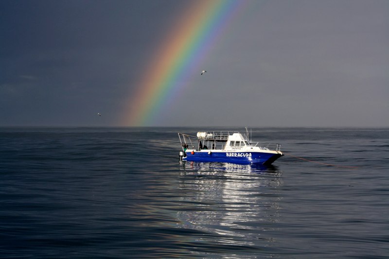 Garden Route 2 photo 17