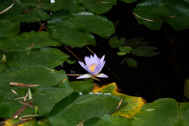 Vietnam photo 84