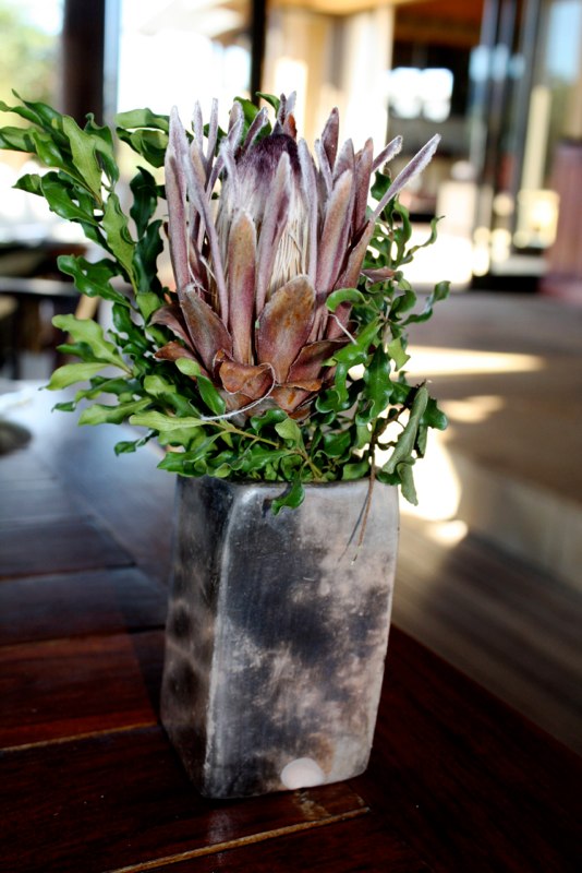 Eastern Cape photo 14