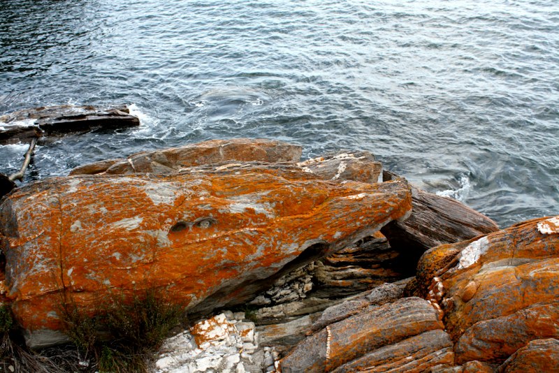 Garden Route photo 31