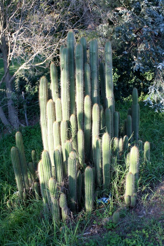 Garden Route photo 71