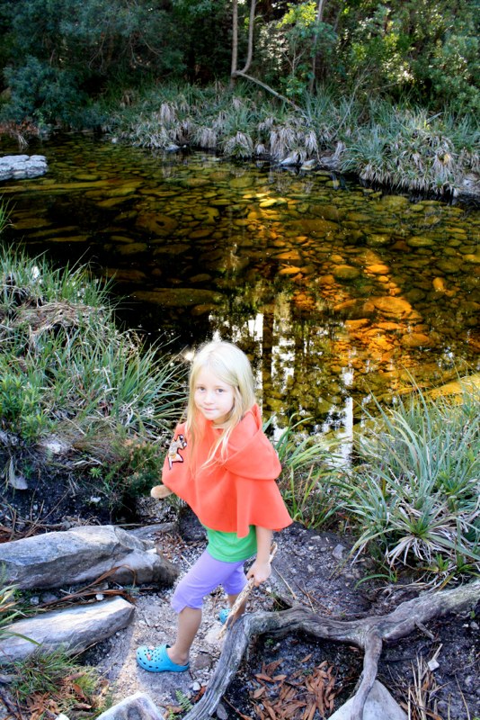 Garden Route photo 36