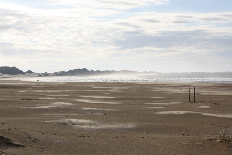 Garden Route photo 7