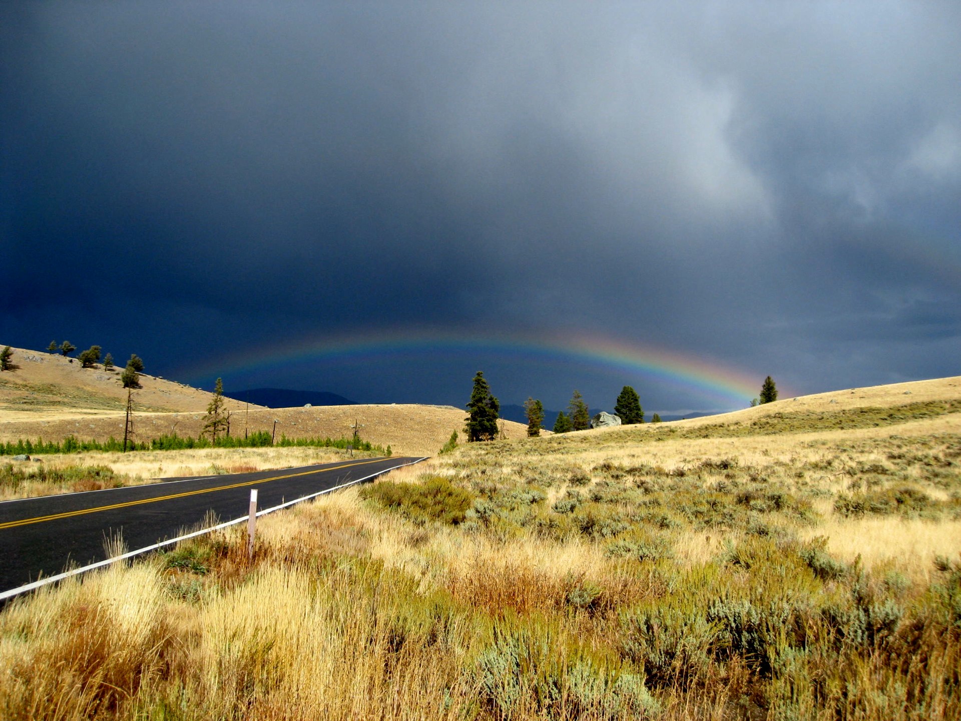 A rainbow..