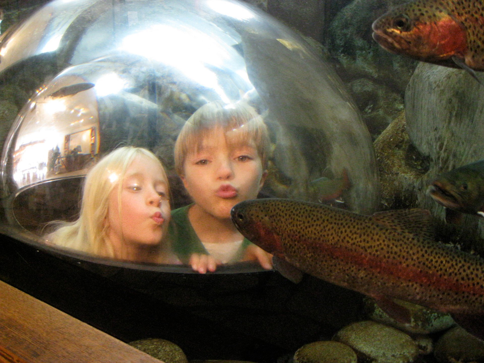 Give me a kiss