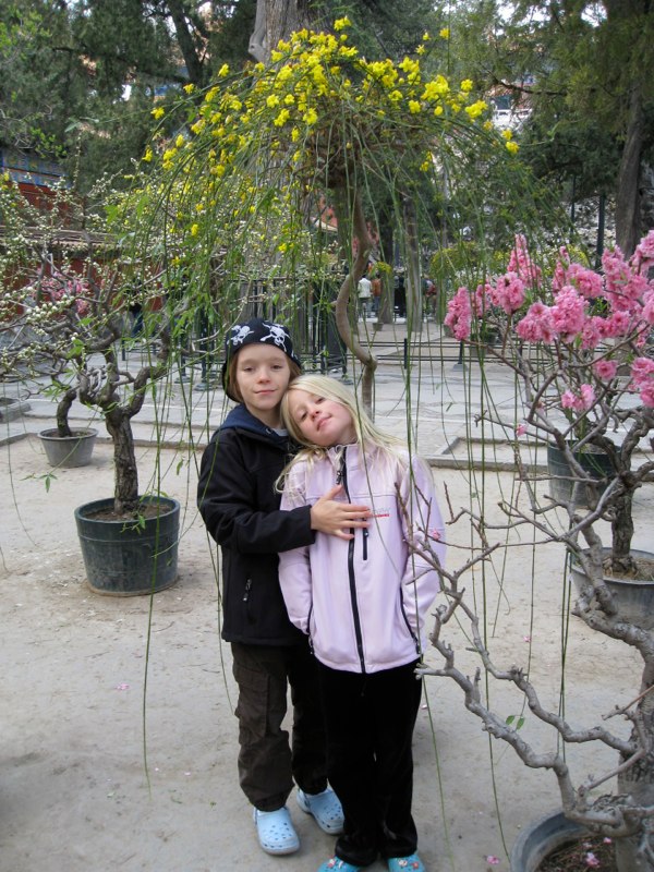 Beijing, China photo 95