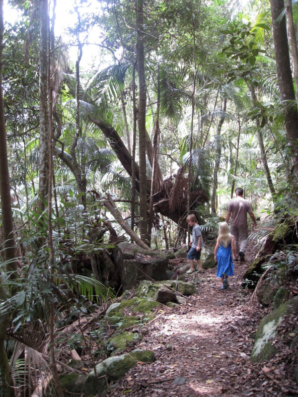 Well not bad its the JUNGLE!
