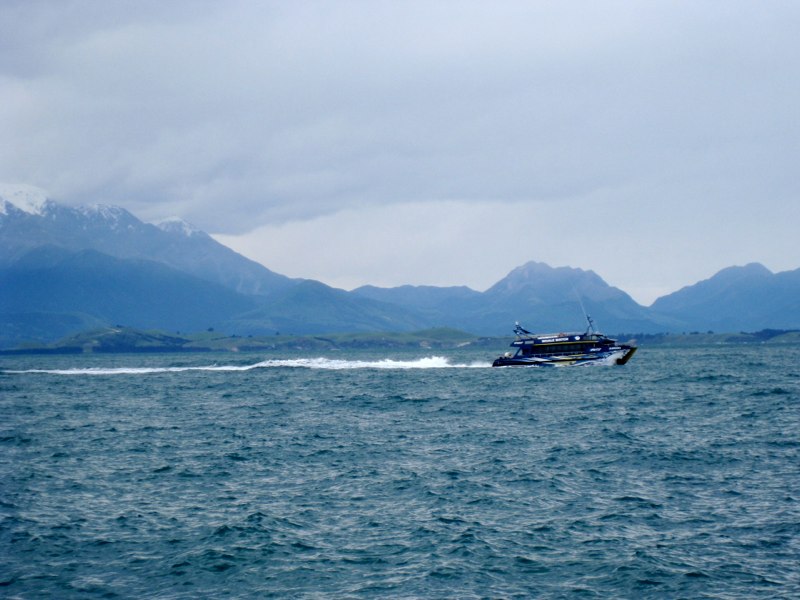 Whale watch trip